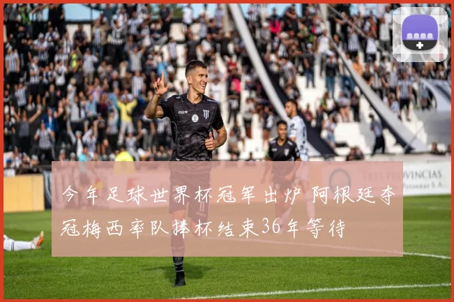 今年足球世界杯冠军出炉 阿根廷夺冠梅西率队捧杯结束36年等待