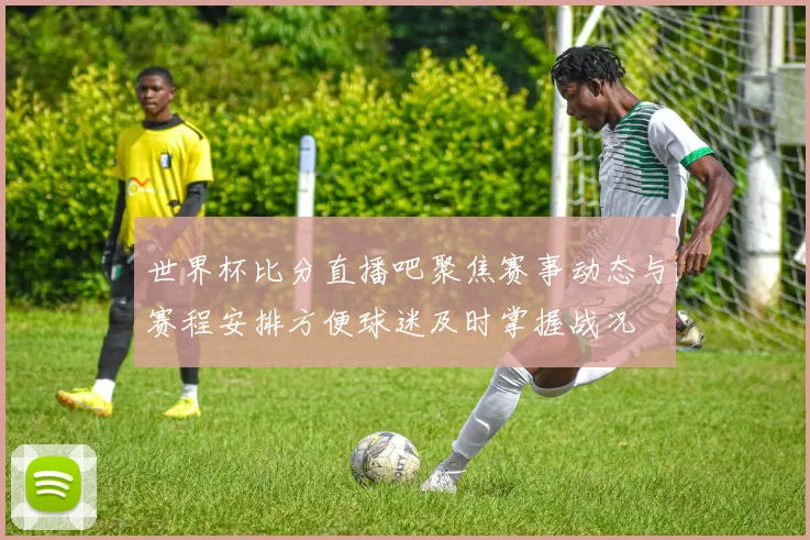 世界杯比分直播吧聚焦赛事动态与赛程安排方便球迷及时掌握战况